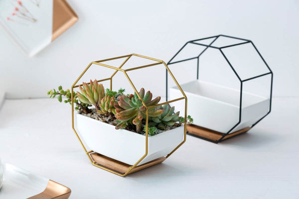 Octagon Frame