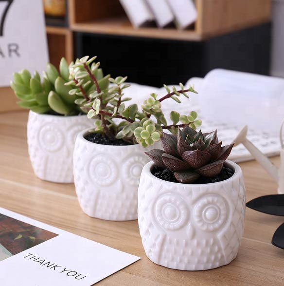 Owl Ceramic Pot