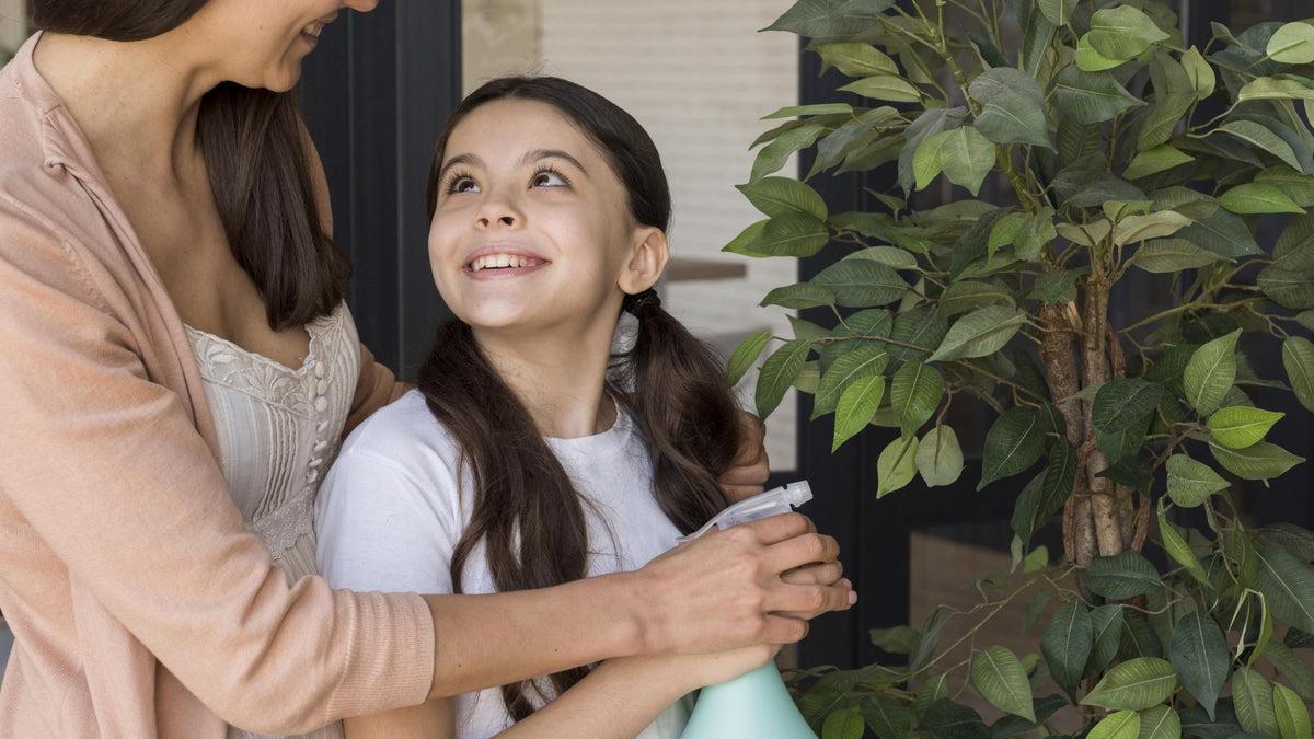 12 Gifts To Give To Your Beloved Mother Plant