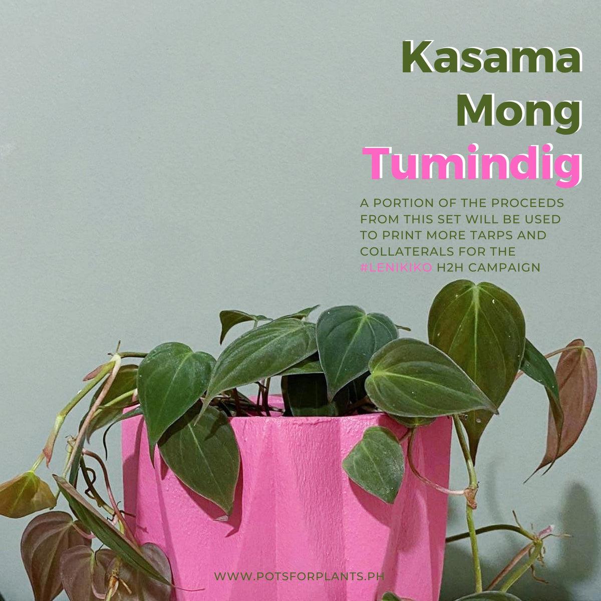 Shop For A Cause: "Kasama Mong Tumindig" plant sets now available