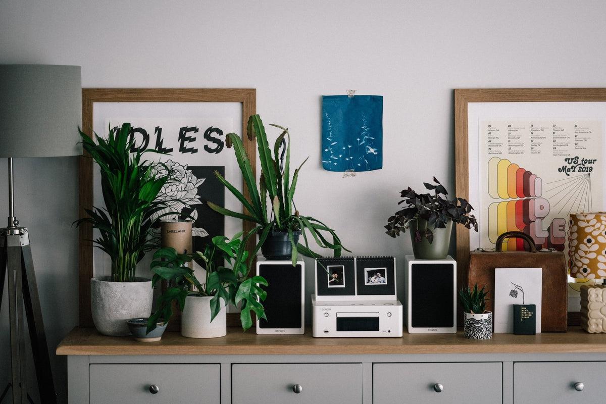 The Best Kid-Friendly Plants For Your Home