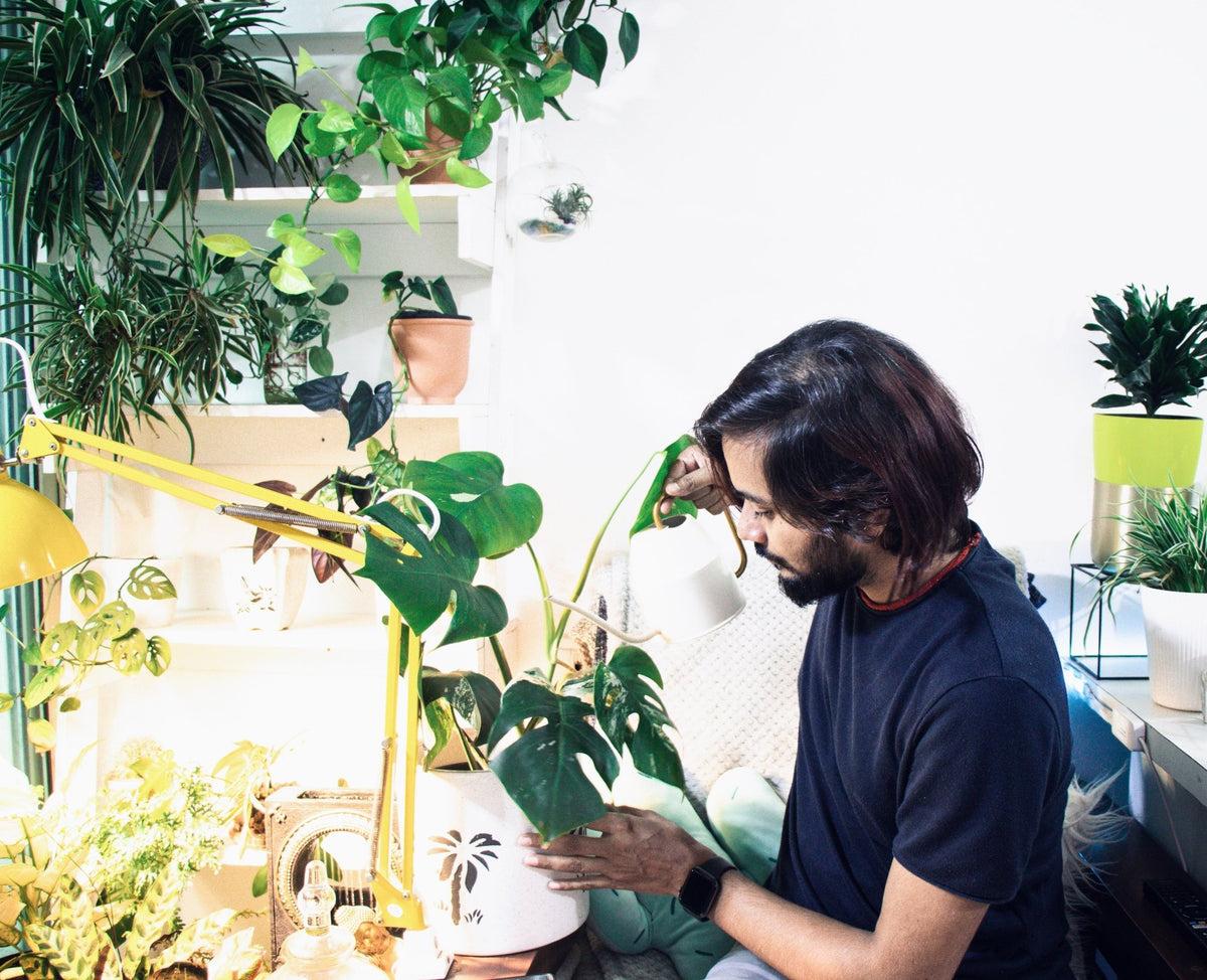 Top 10 Perfect Gifts to Give To Your Plantito Dad