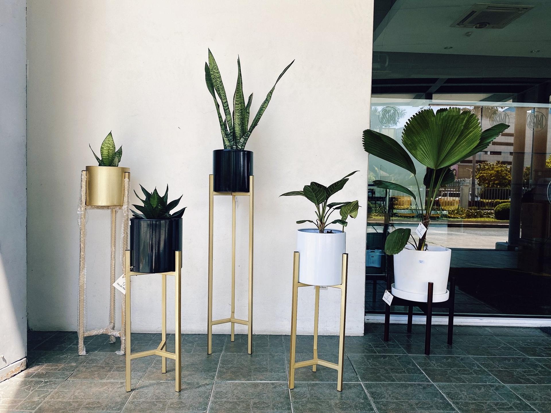 Planter Stands