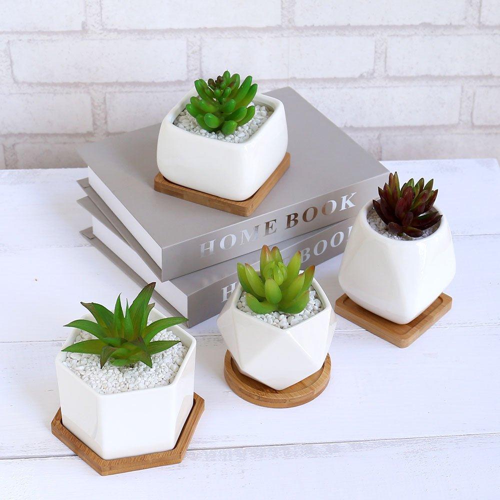 Succulent Desk Pots