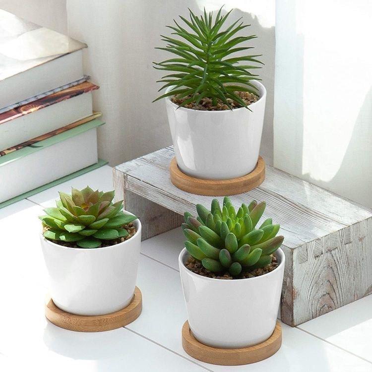 Cone Shaped White Porcelain Ceramic Pot with Bamboo saucer