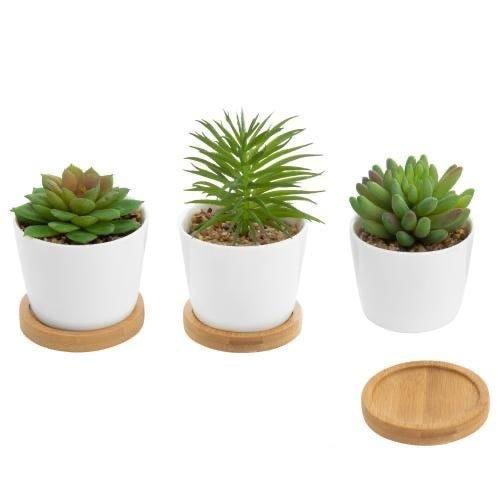 Cone Shaped White Porcelain Ceramic Pot with Bamboo saucer