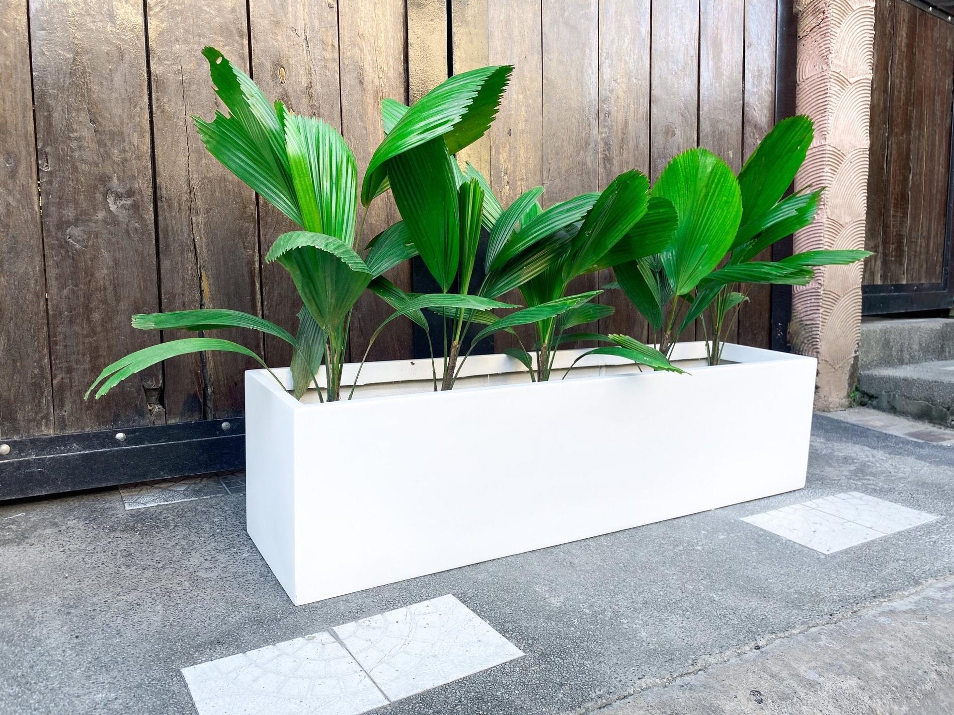 1.2 Meter Length Fiberglass Planter Bed Box