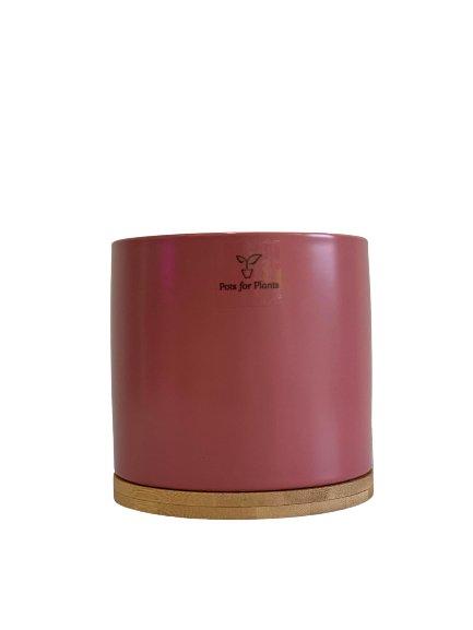 3.5” Cylinder Porcelain Pot with Catchplate