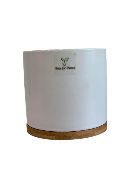3.5” Cylinder Porcelain Pot with Catchplate