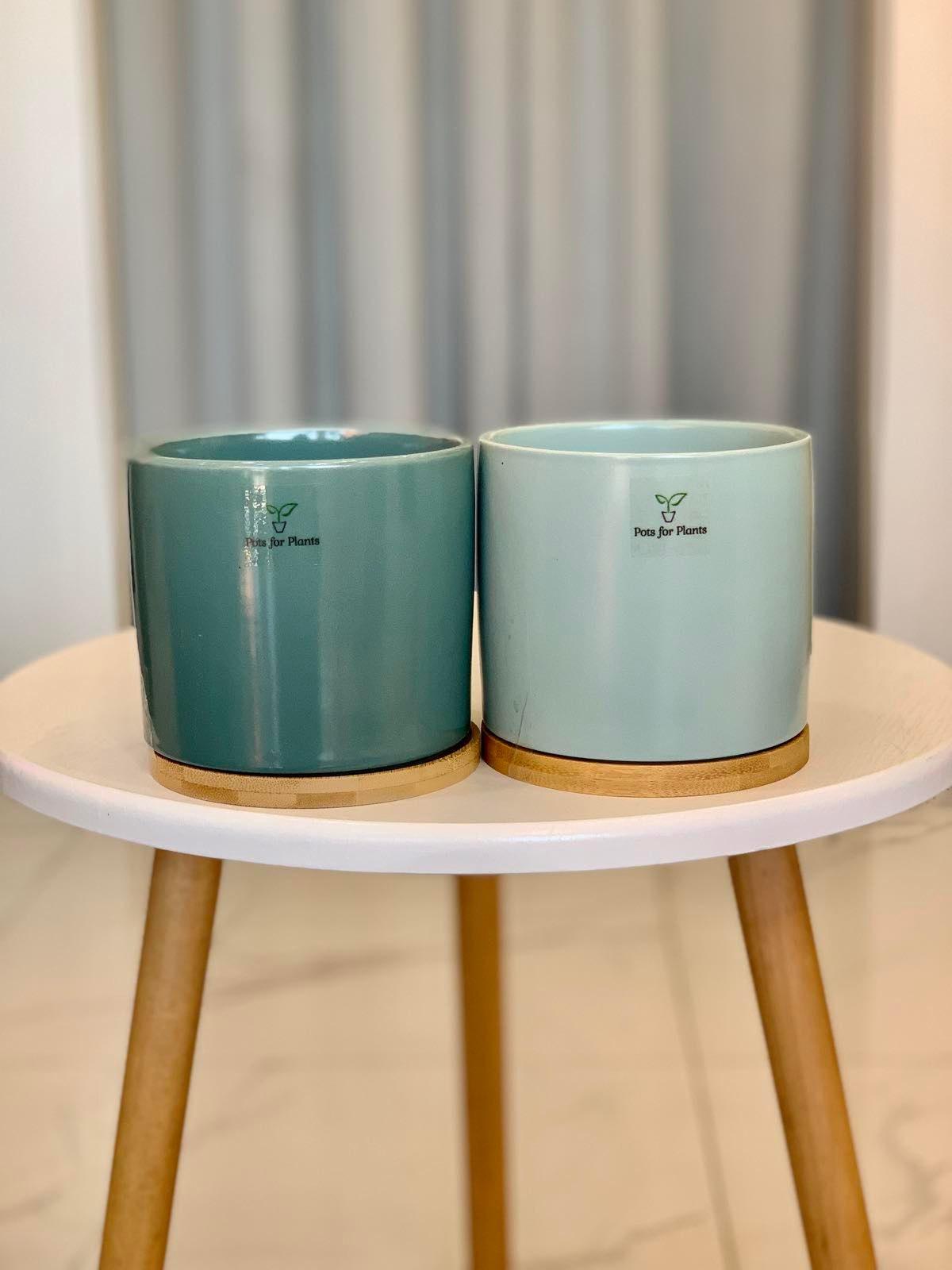 3.5” Cylinder Porcelain Pot with Catchplate