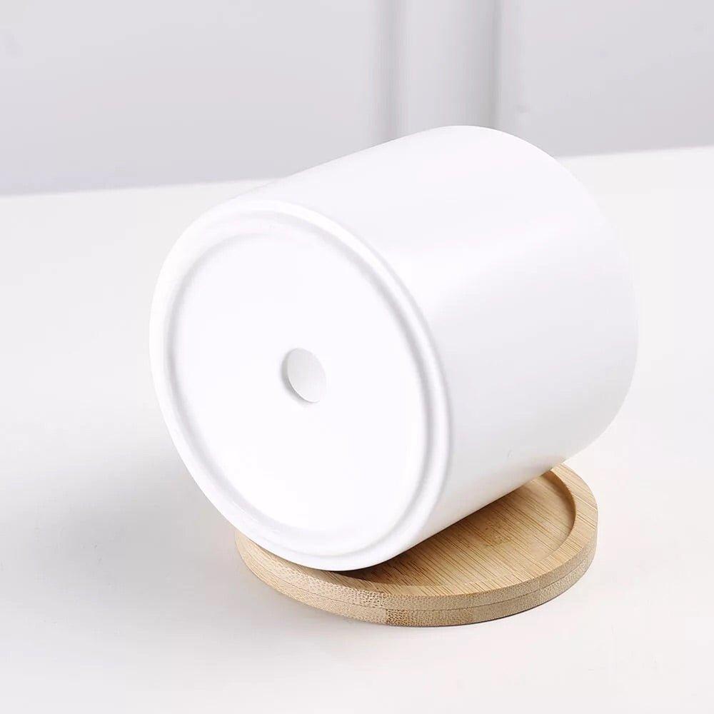 3.5" Cylinder Porcelain Pots with Catch Plate (Set-of-three)