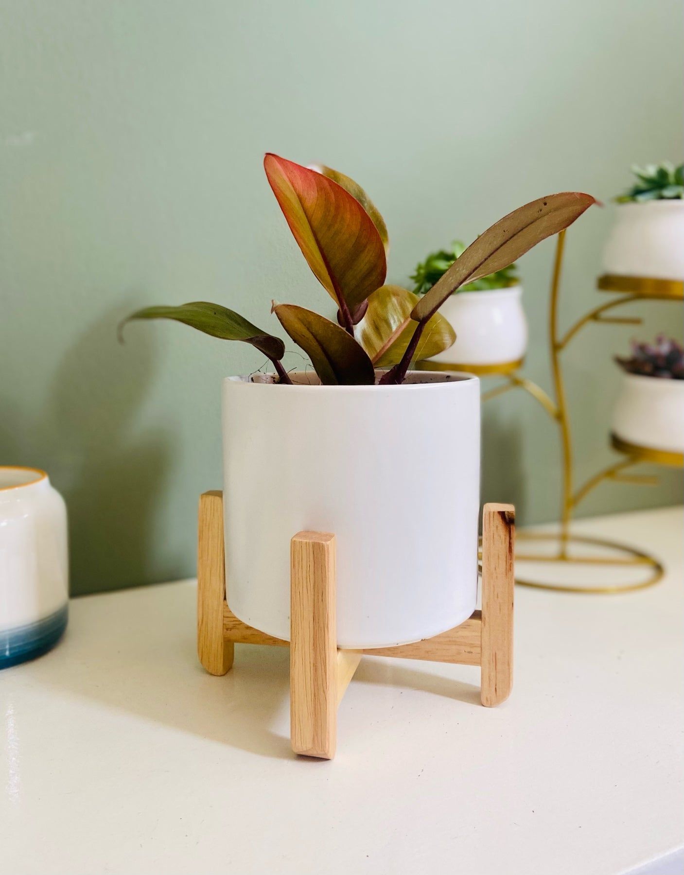 4.5" Cylinder Porcelain Ceramic Pot with Bamboo Stand