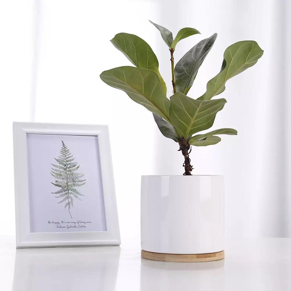 4.5” Cylinder Porcelain Ceramic Pots