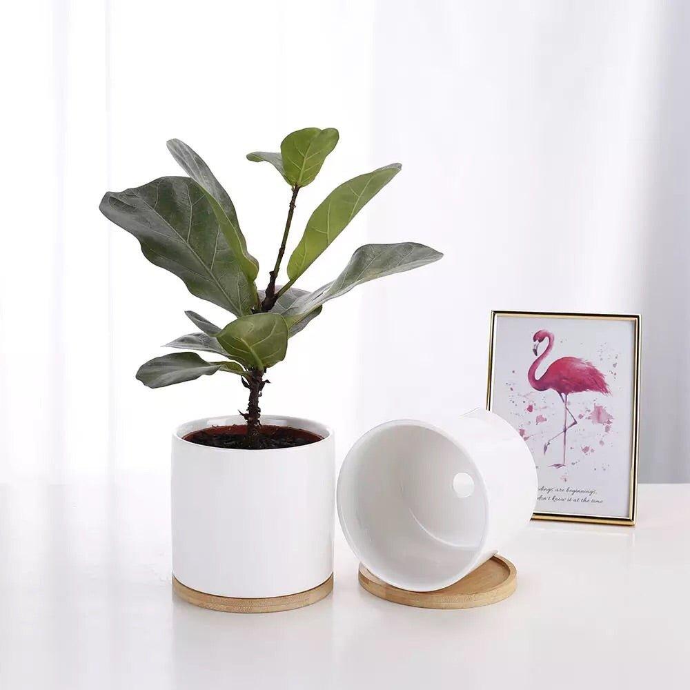4.5” Height Cylinder Porcelain Ceramic Pot With Catch Plate (Set-of-Two)