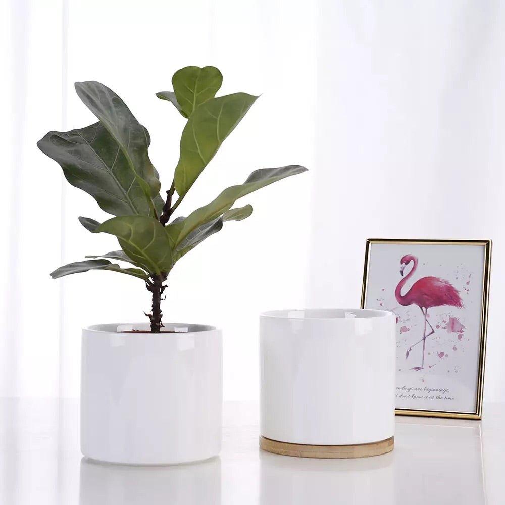 4.5” Height Cylinder Porcelain Ceramic Pot With Catch Plate (Set-of-Two)