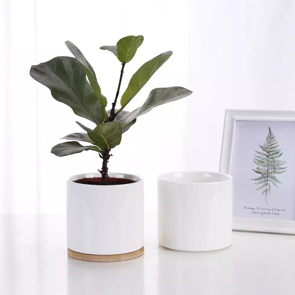 4.5” Height Cylinder Porcelain Ceramic Pot With Catch Plate (Set-of-Two)
