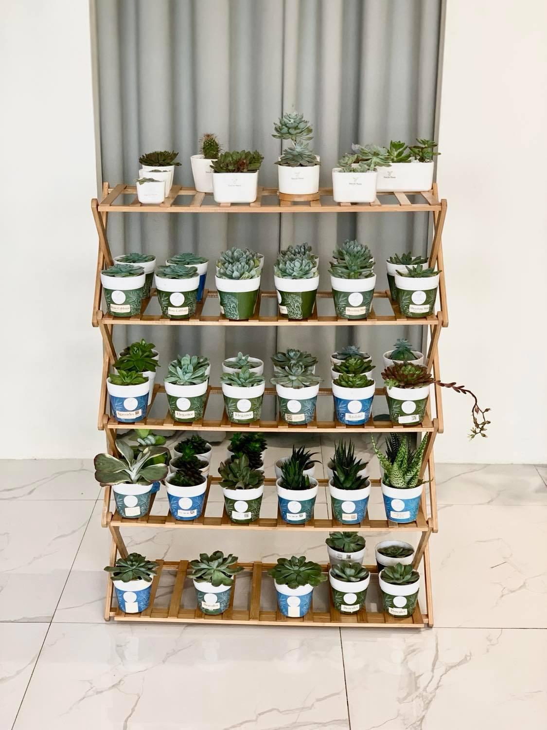 5 Tier Folding Simple Bamboo Plant Rack