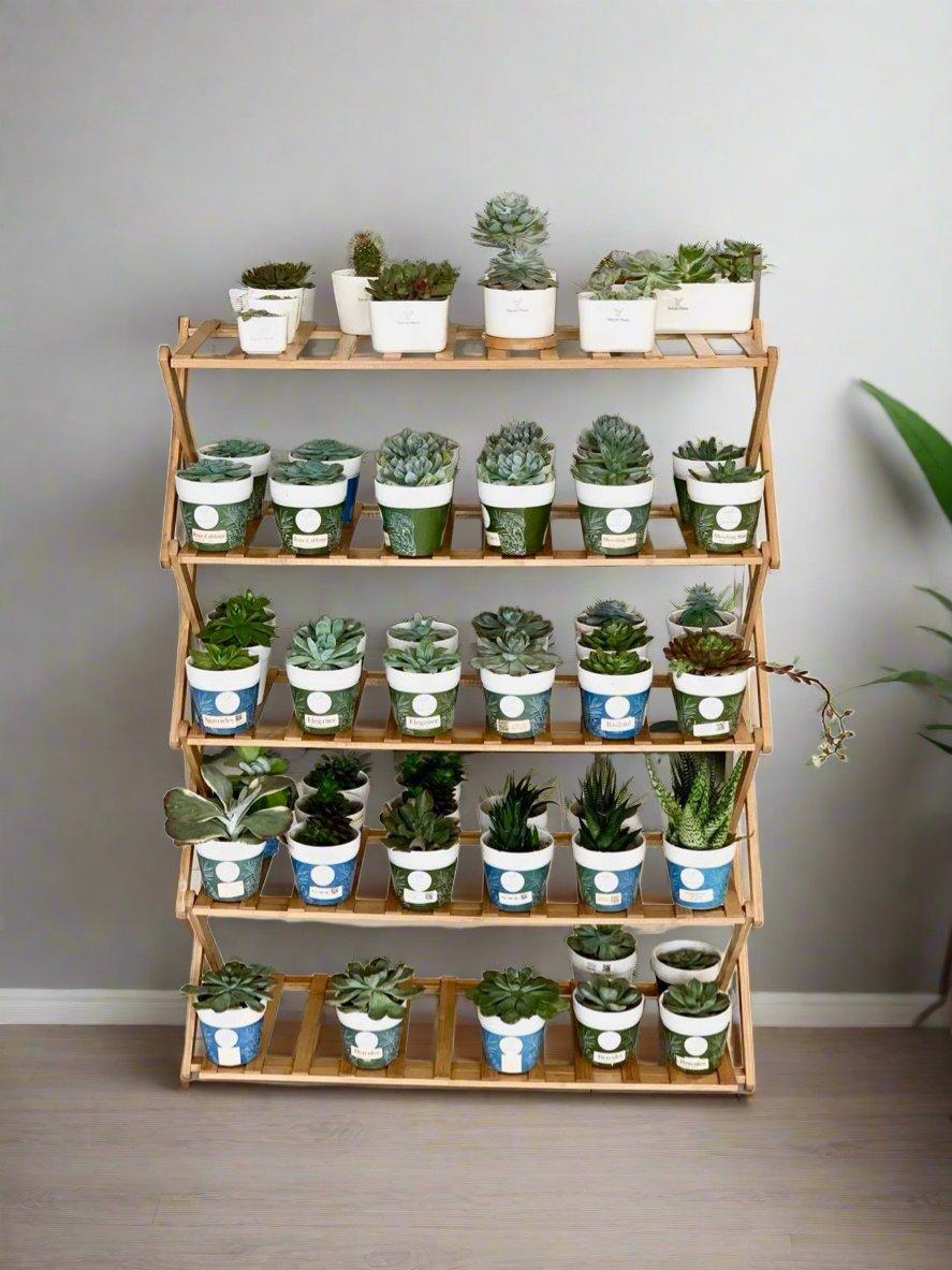 5 Tier Folding Simple Bamboo Plant Rack