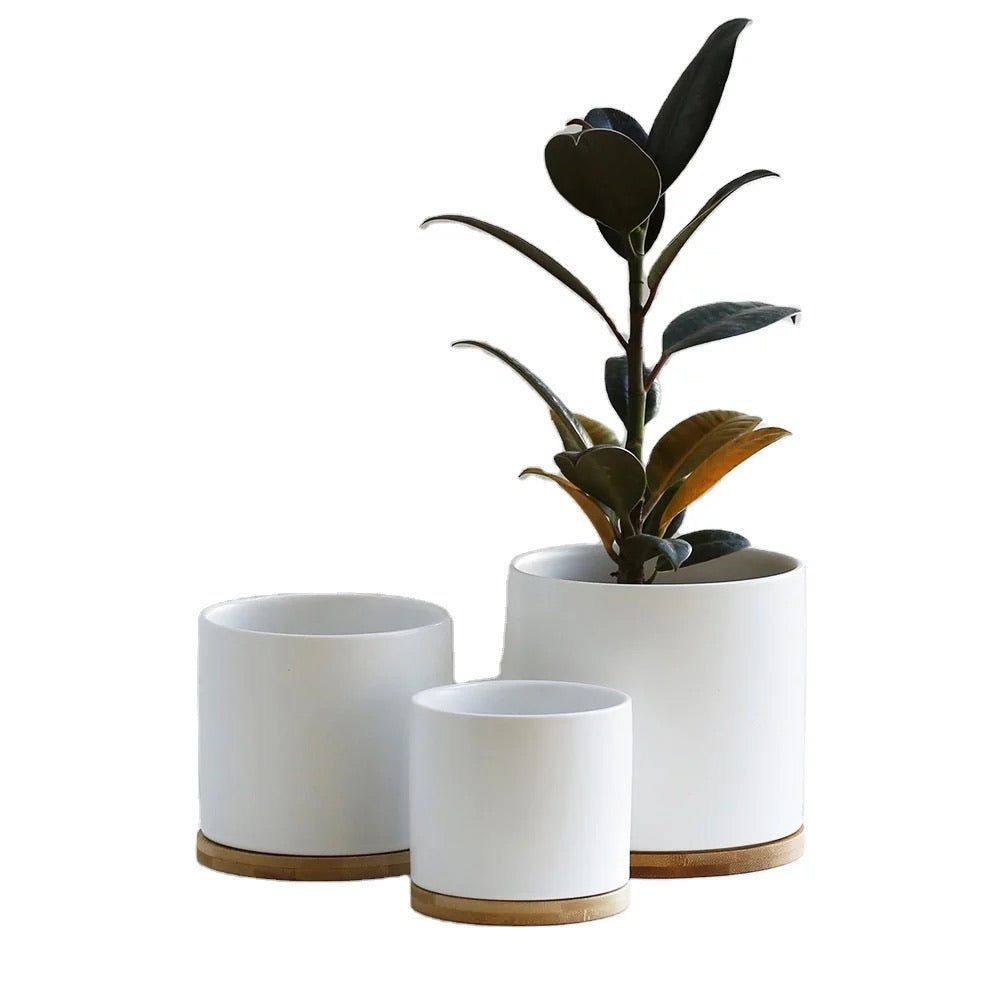 6” Cylinder Porcelain Ceramic Pot
