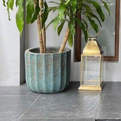 Aqua Ridge Atlantis Vietnam Planter
