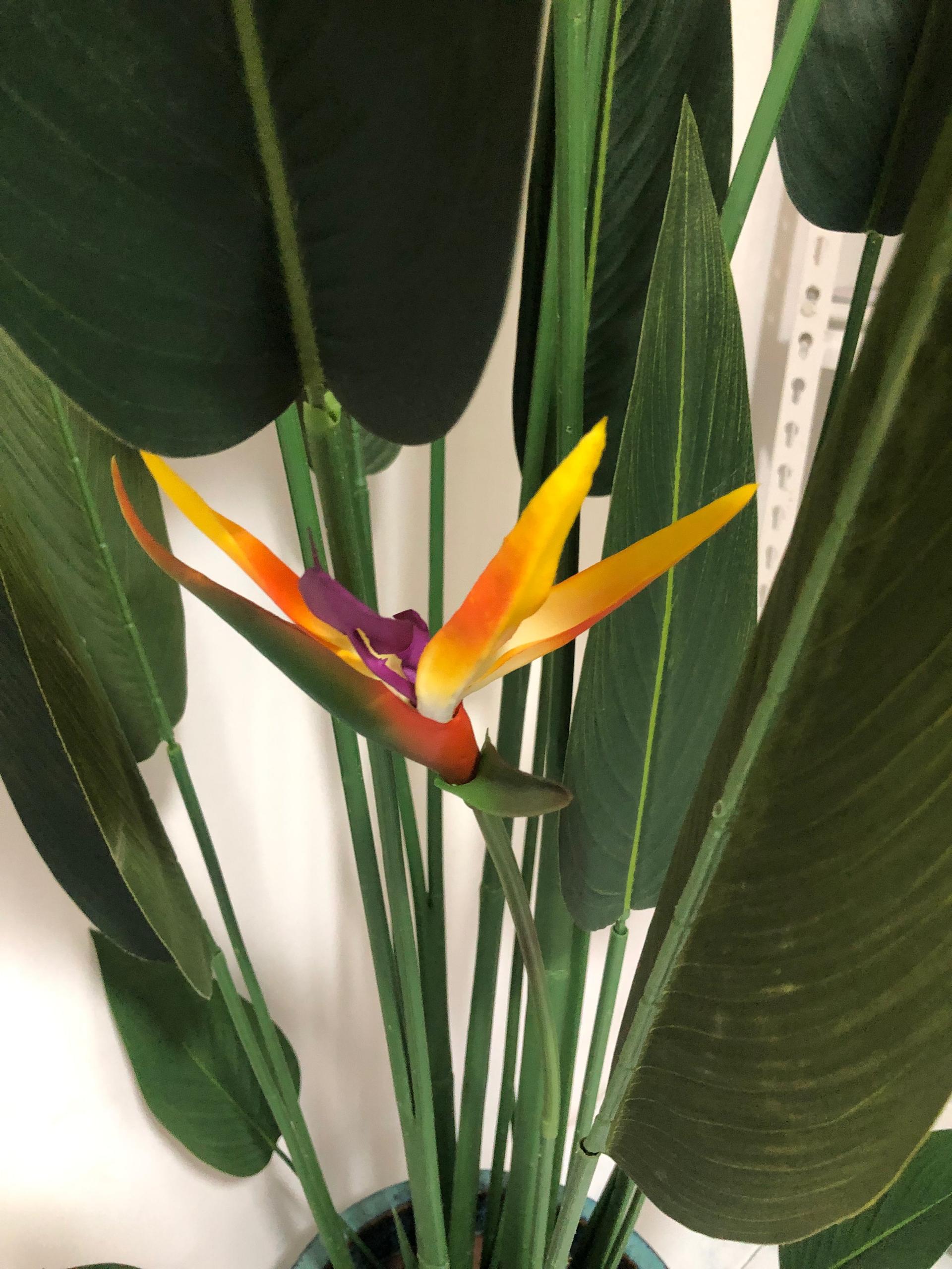 Artificial Birds of Paradise Plant