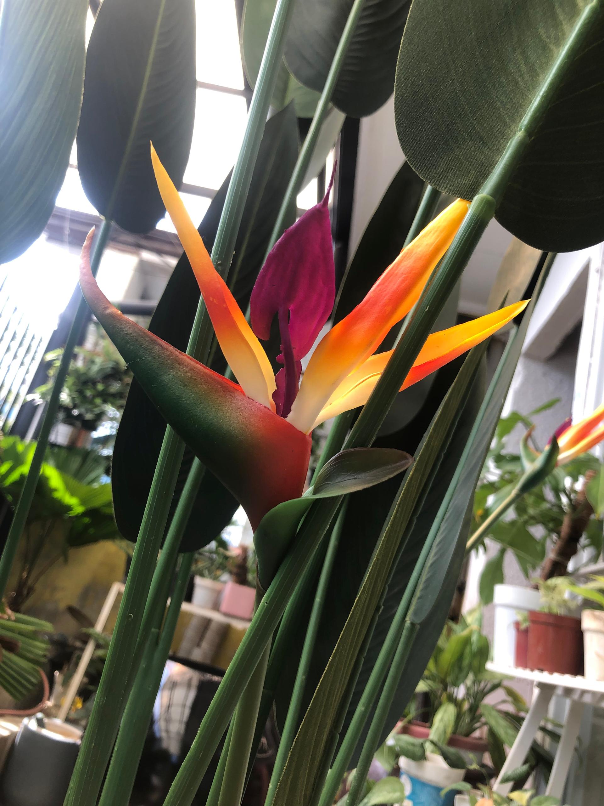 Artificial Birds of Paradise Plant