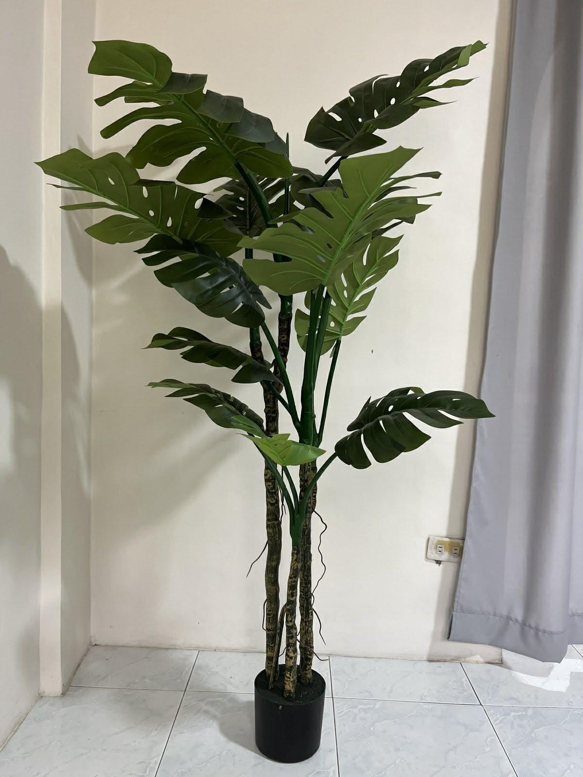 Artificial Monstera