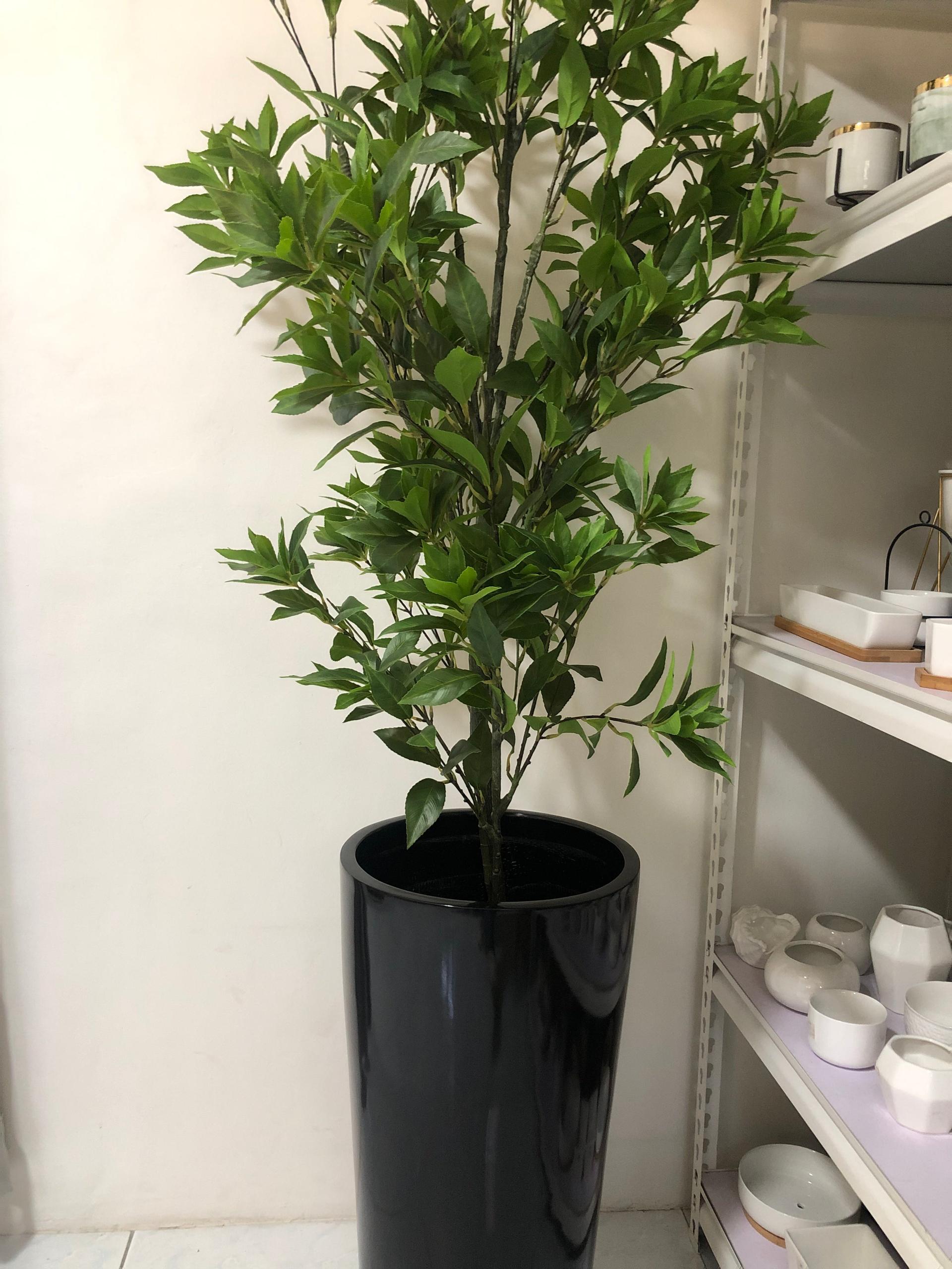 Artificial Pieris Tree