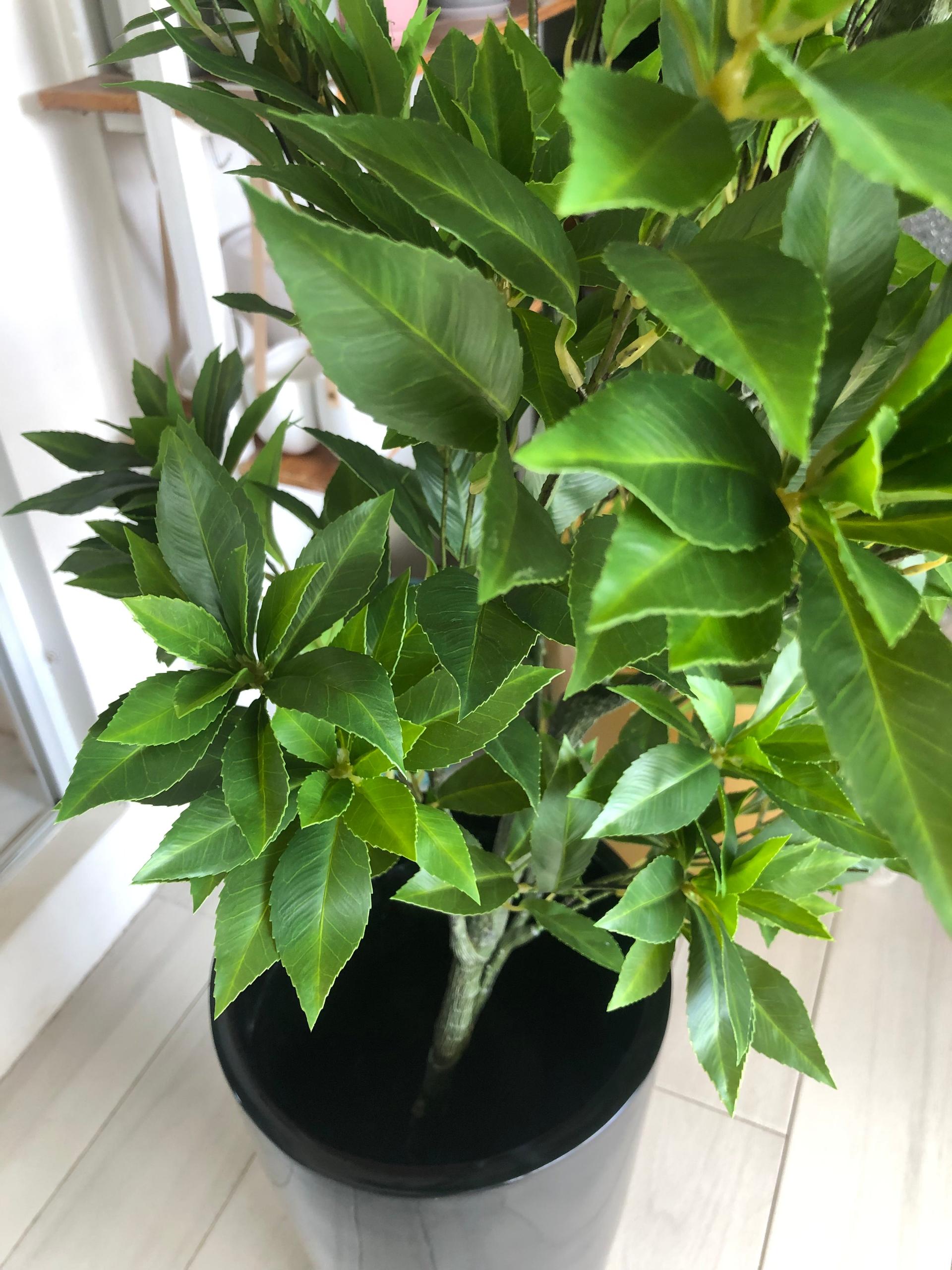 Artificial Pieris Tree