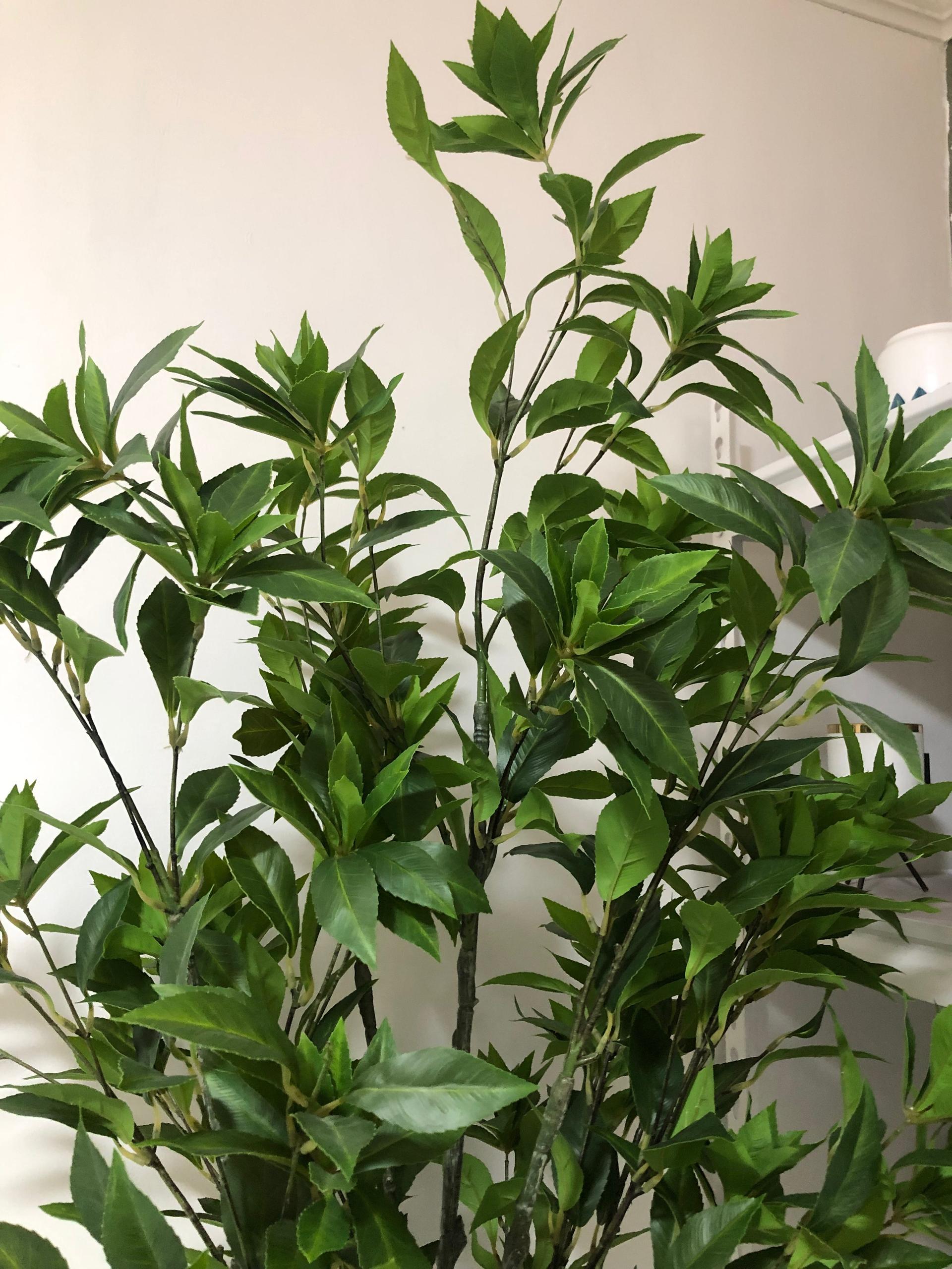Artificial Pieris Tree