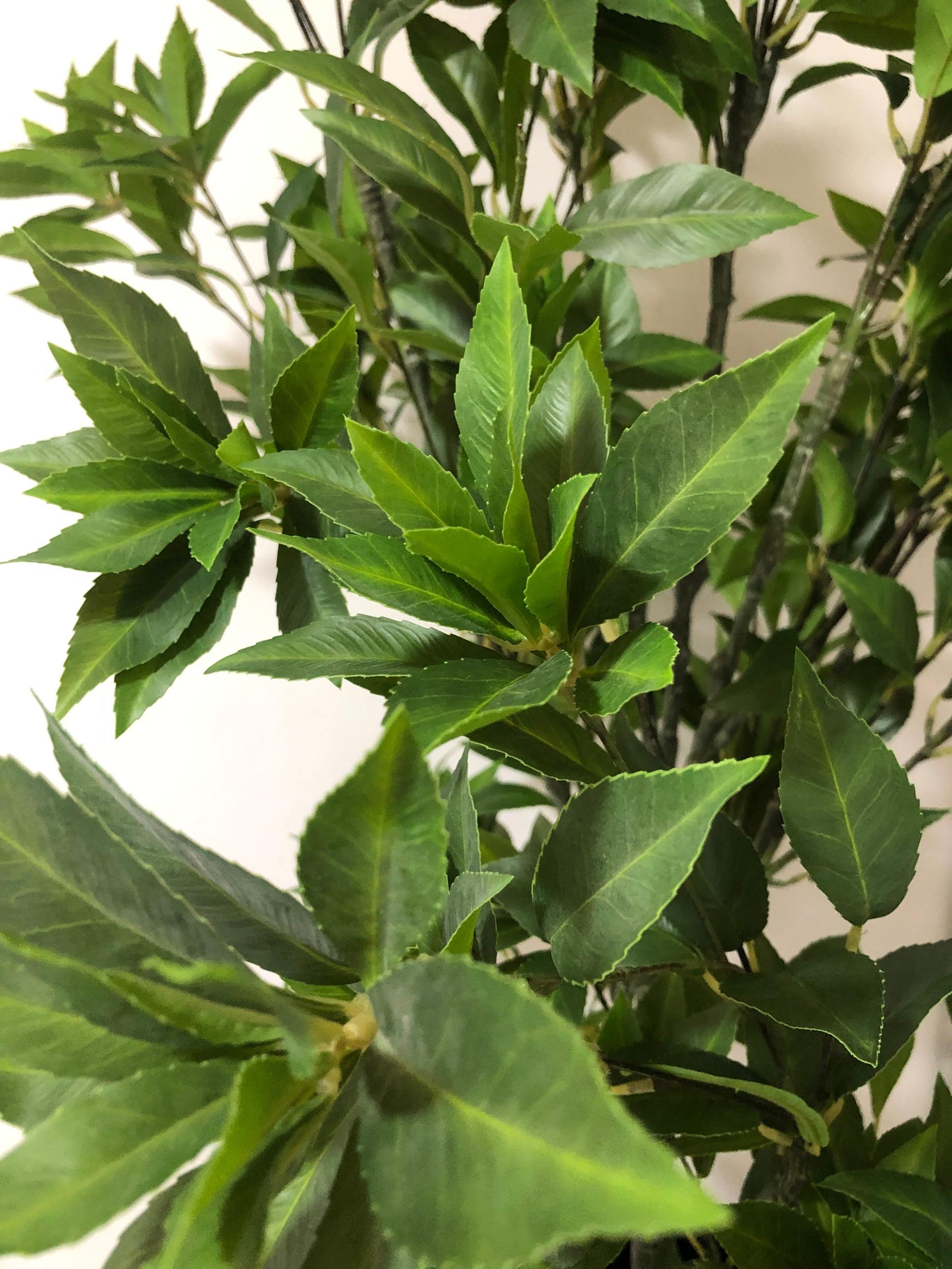 Artificial Pieris Tree