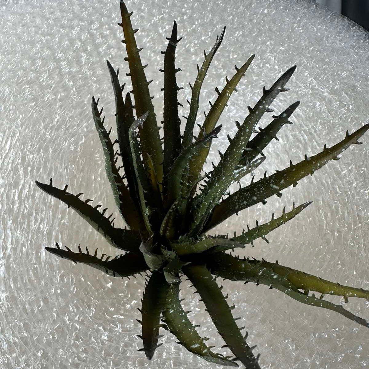 Artificial Succulents