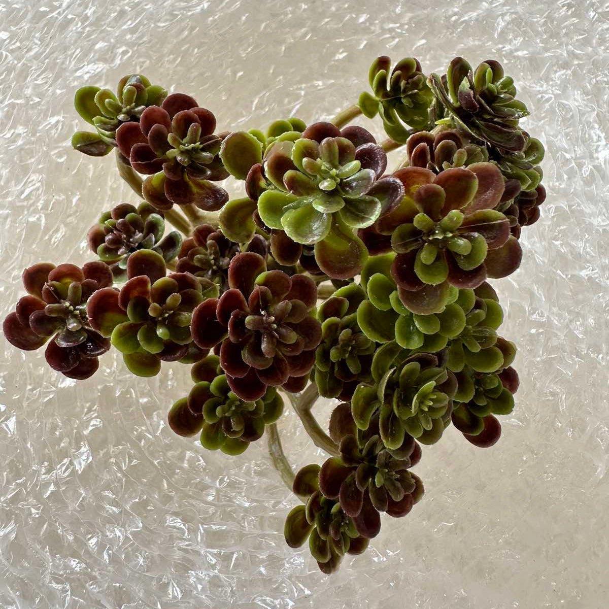 Artificial Succulents