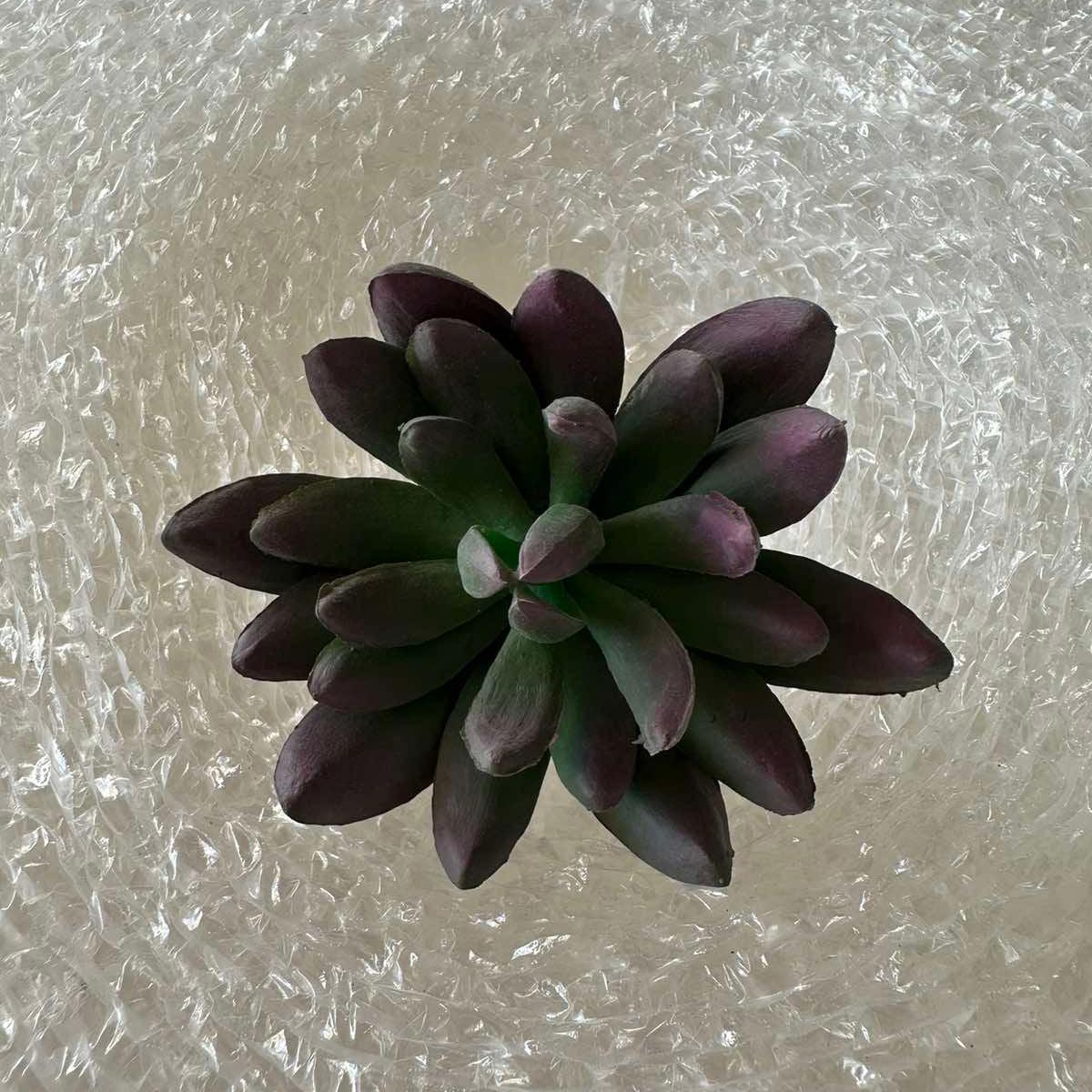 Artificial Succulents