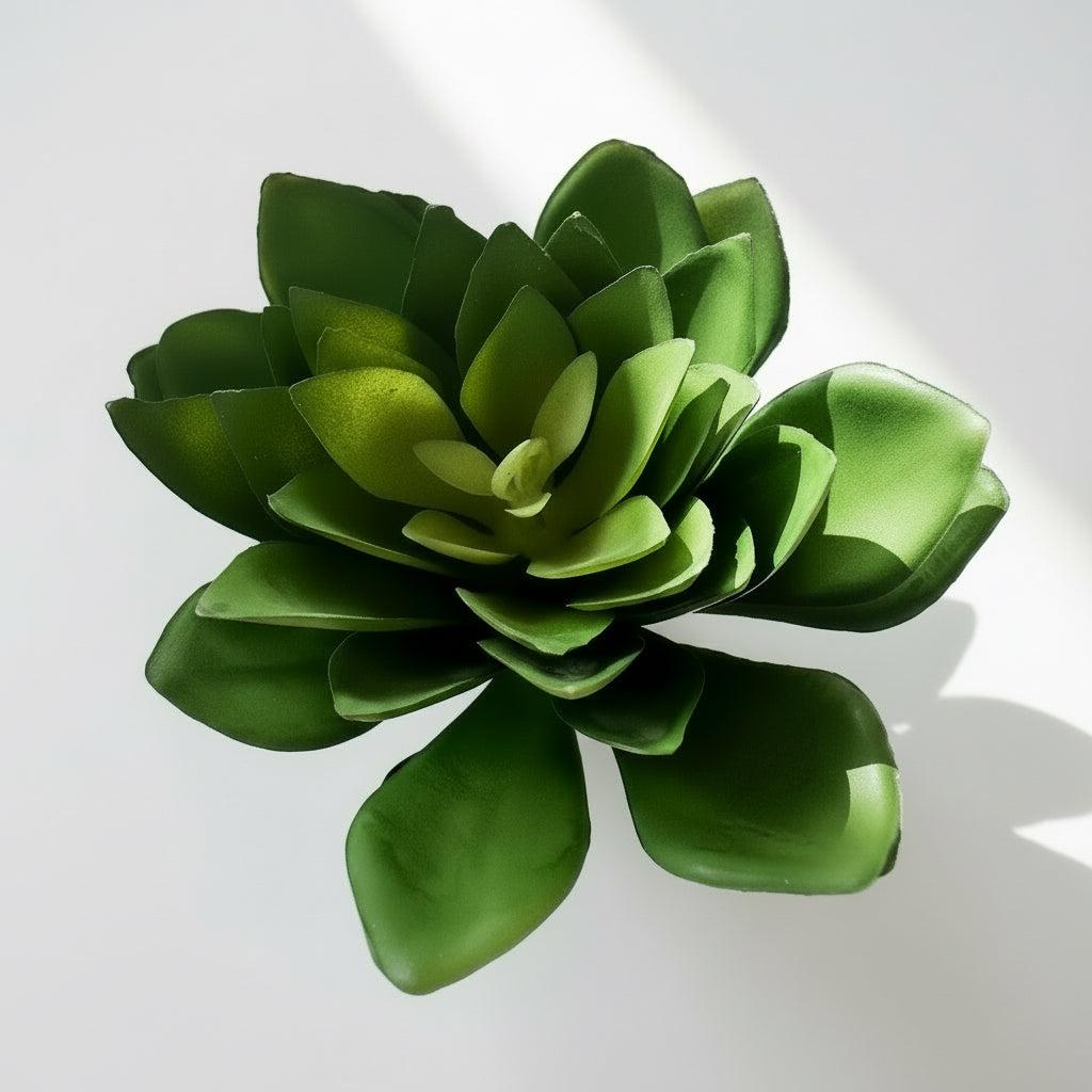 Artificial Succulents
