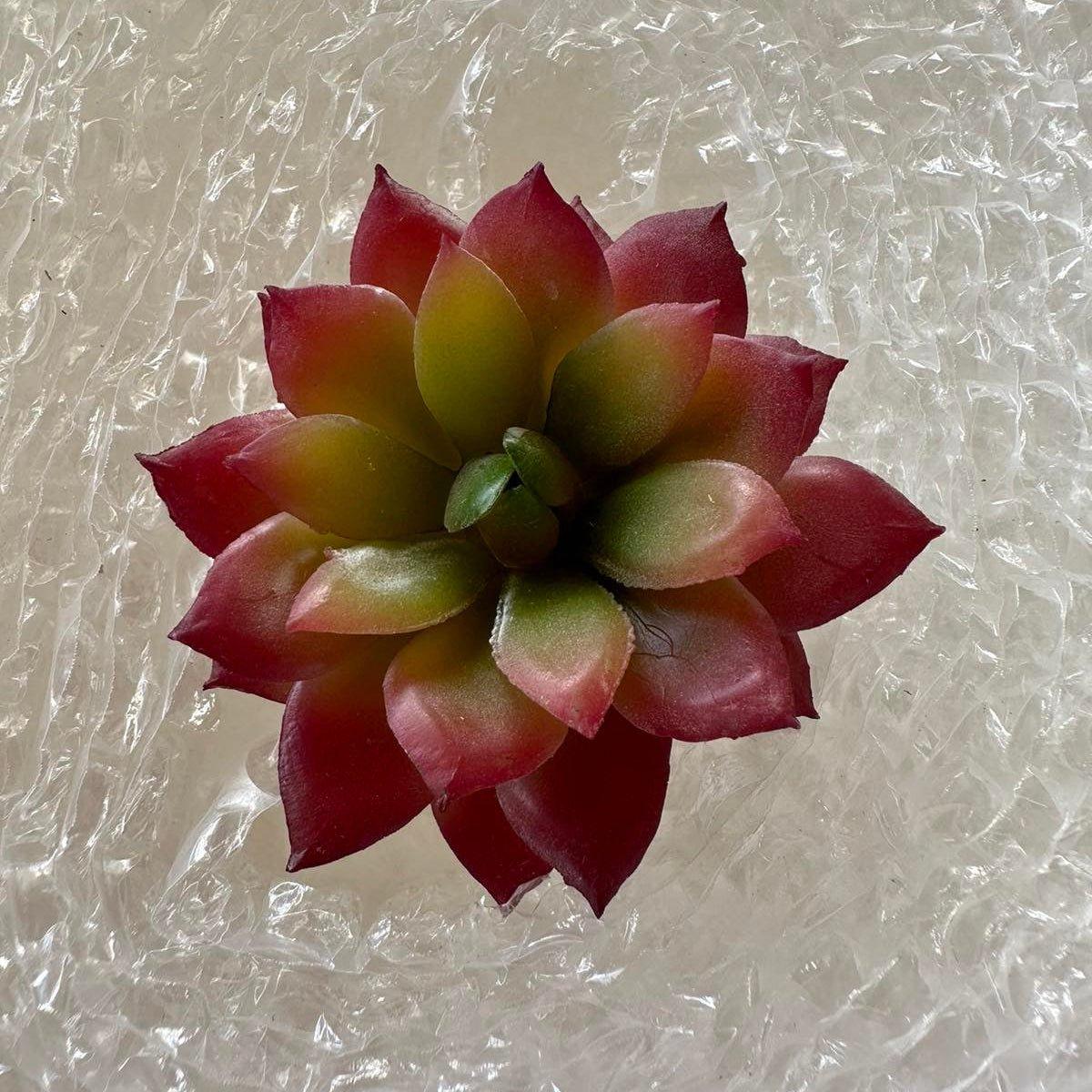 Artificial Succulents