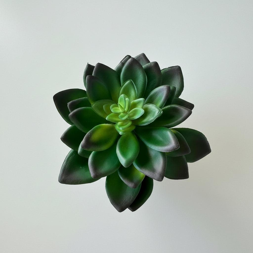 Artificial Succulents