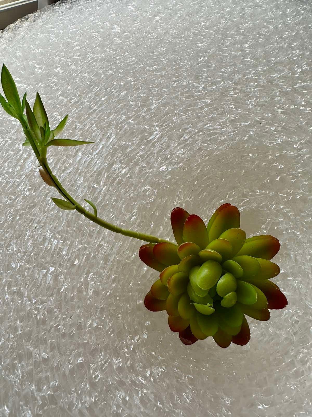 Artificial Succulents