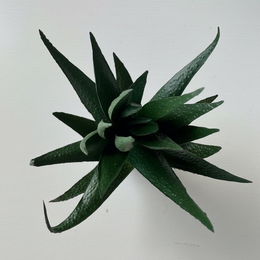Artificial Succulents