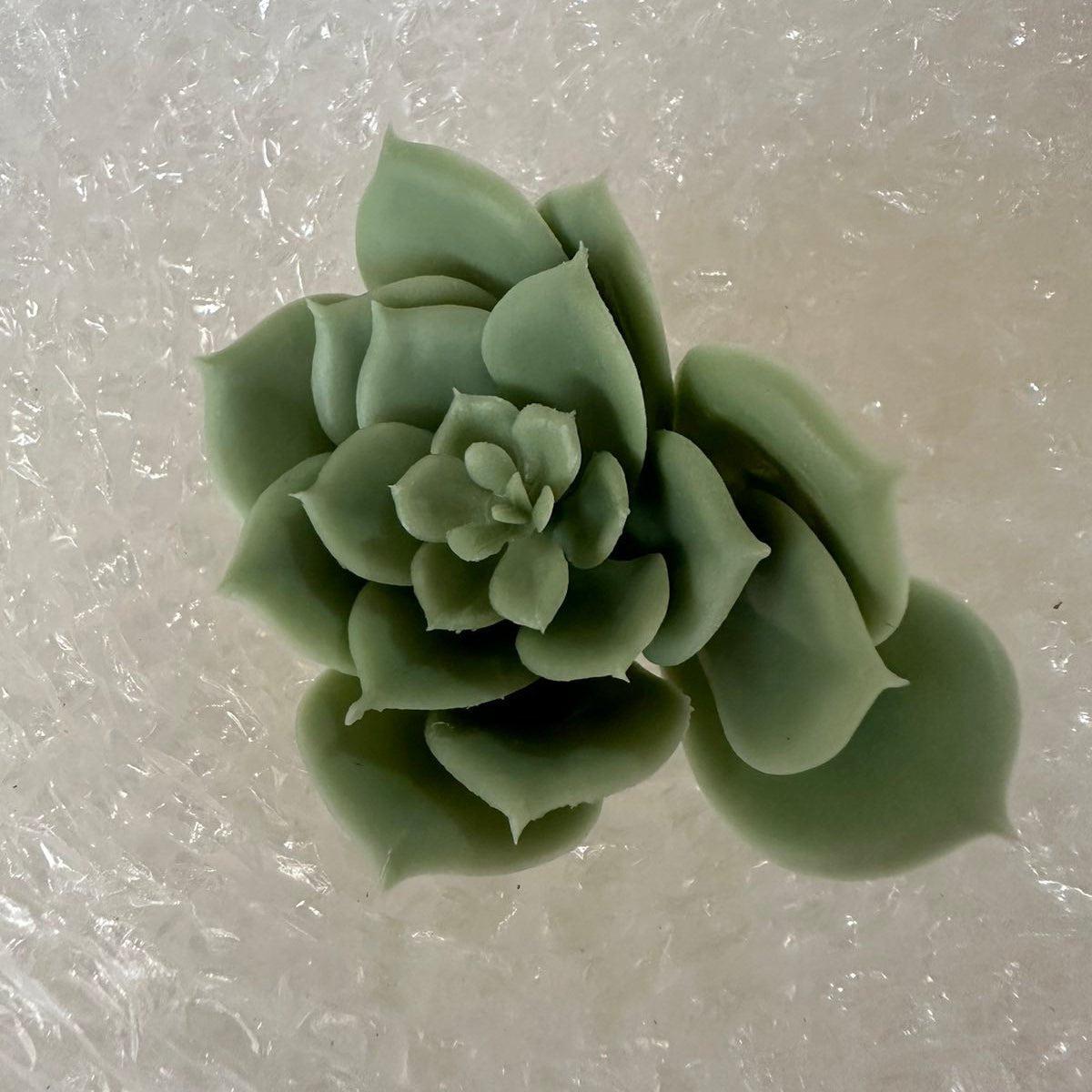 Artificial Succulents