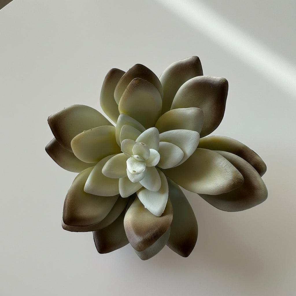 Artificial Succulents