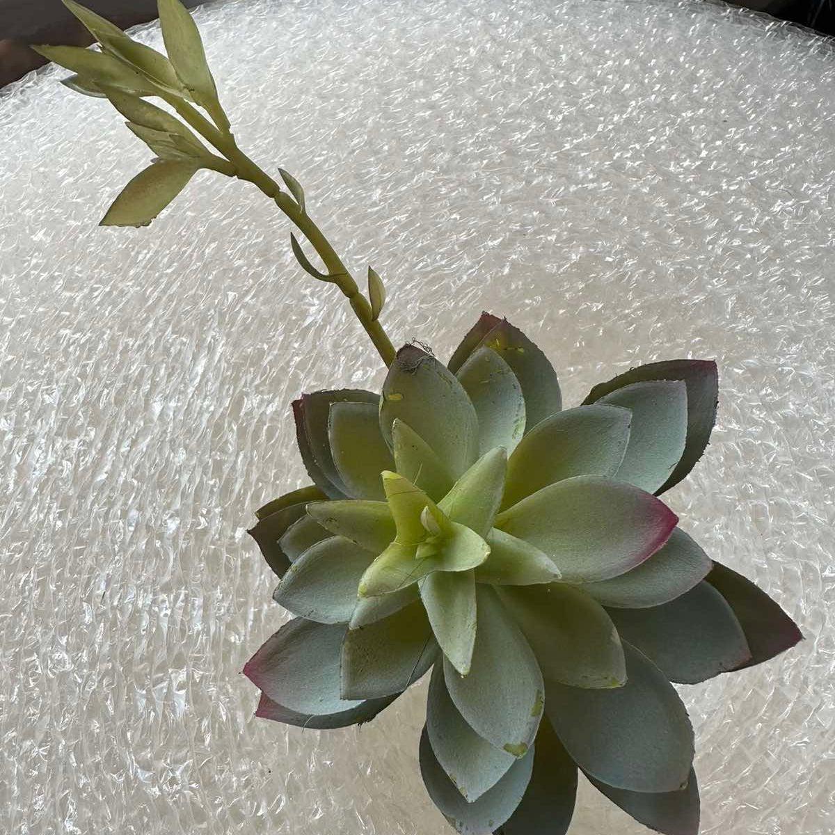 Artificial Succulents