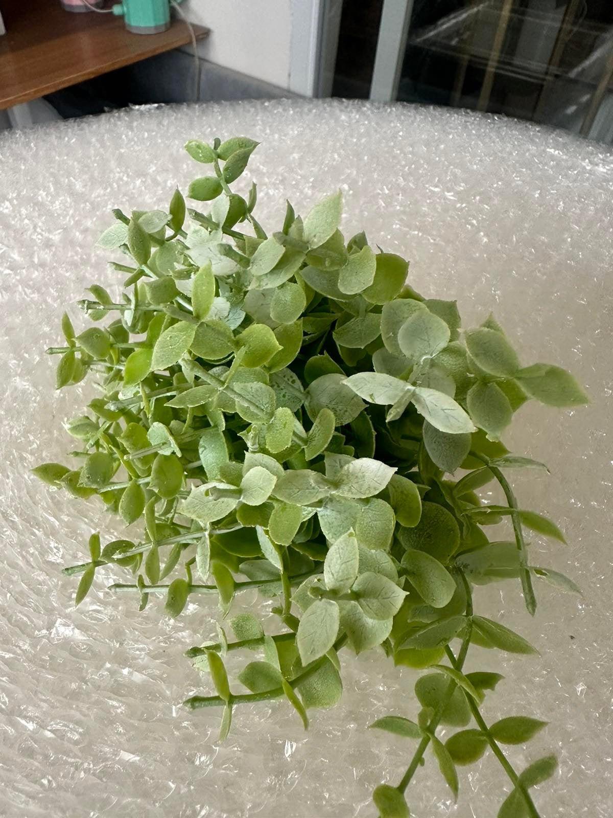 Artificial Succulents