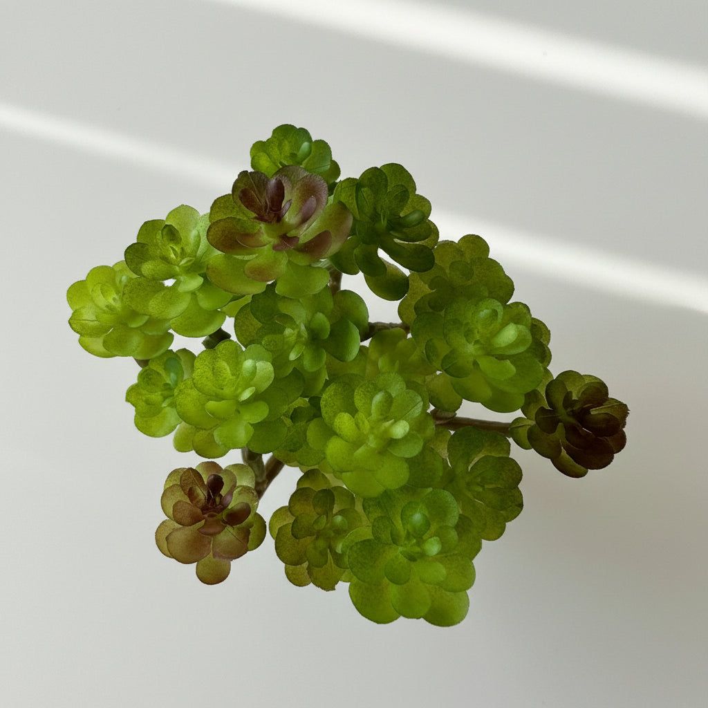 Artificial Succulents