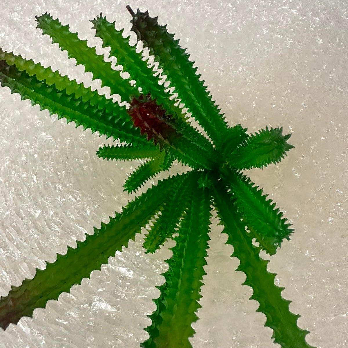 Artificial Succulents