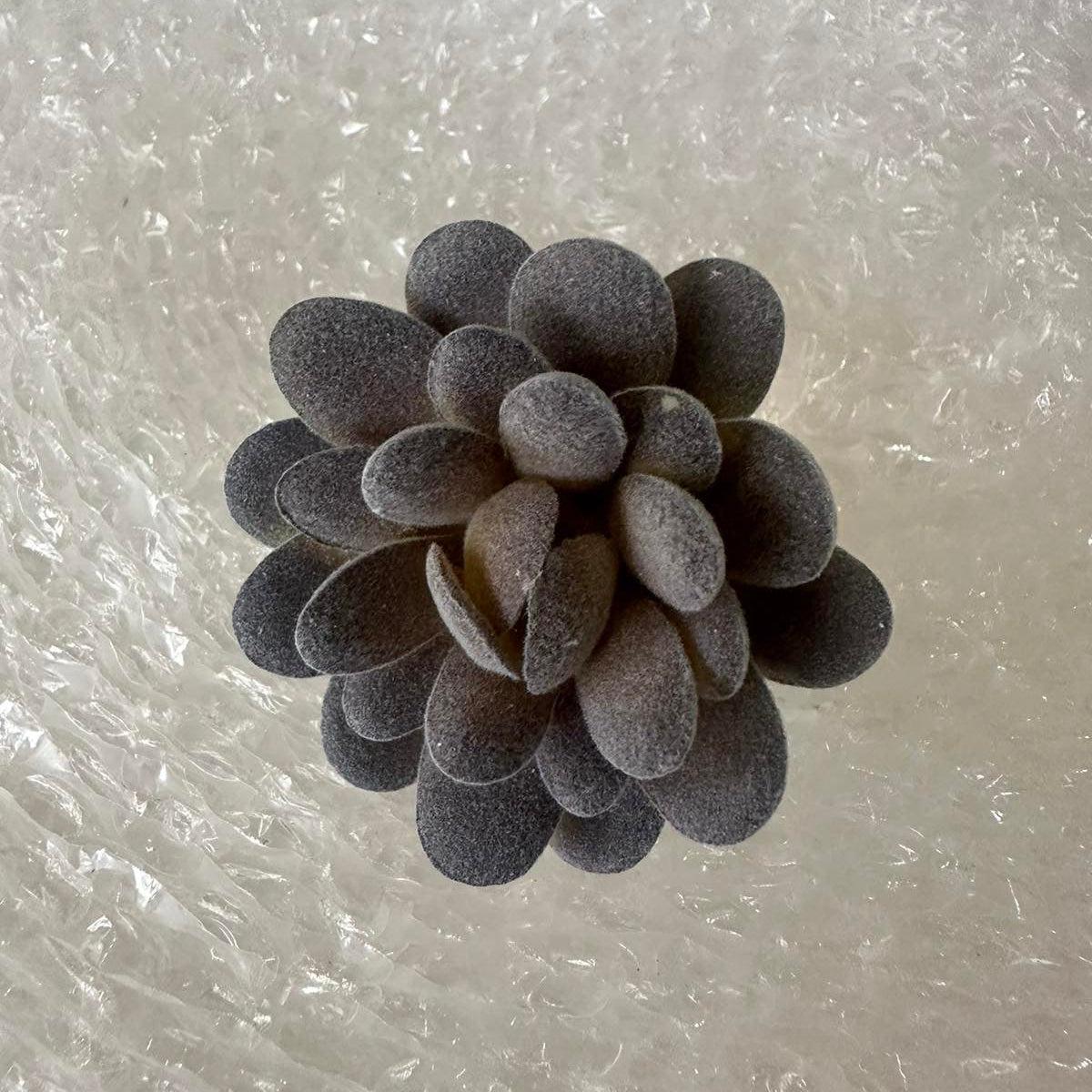 Artificial Succulents
