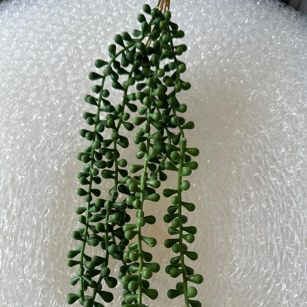 Artificial Succulents