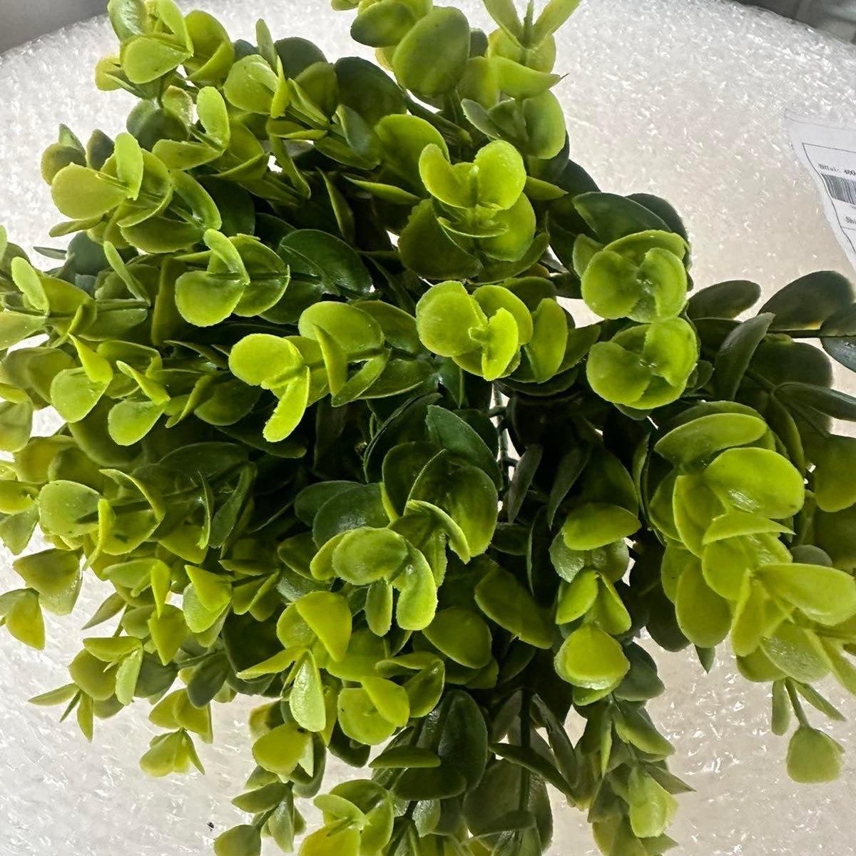 Artificial Succulents