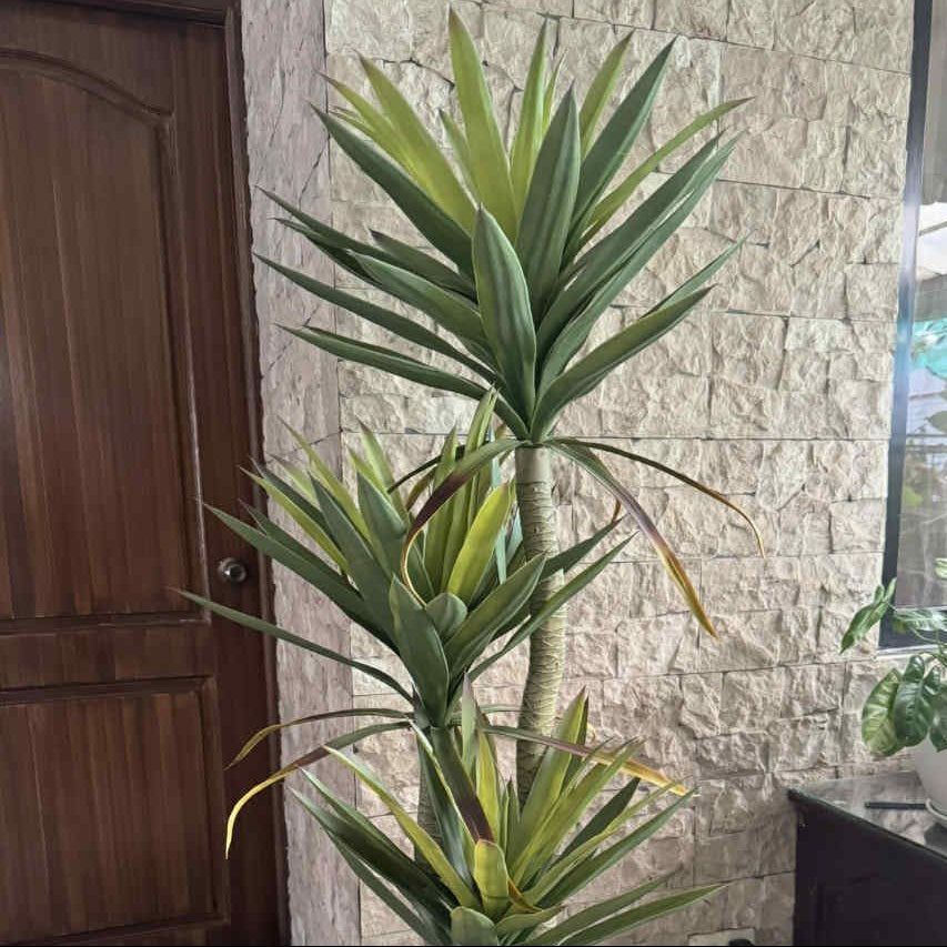 Artificial Yucca tree