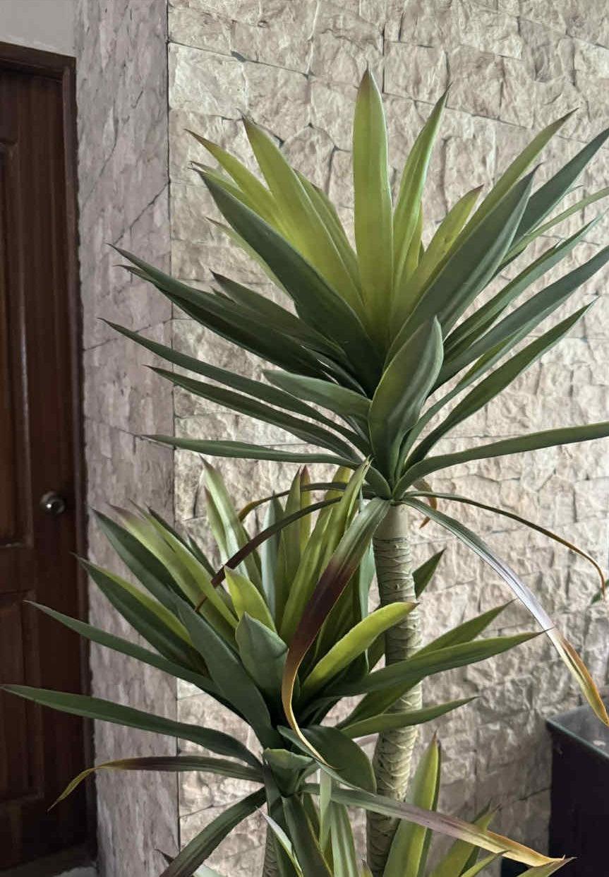Artificial Yucca tree